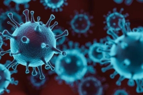 uzman-isimden-korkutan-uyari!-‘virusler-isbirligi-yapti,-yeni-bir-salgin-kapida’