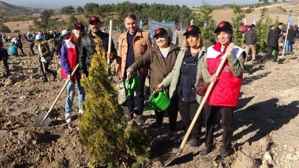 canakkale'de-23-bin-fidan-toprakla-bulusturuldu