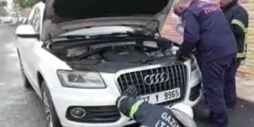 luks-otomobilde-kedi-seferberligi