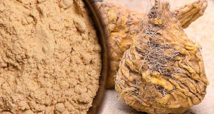 Savaşmak yerine sevişmeye başladıkları için yasaklandı! Maca kökü tozu nedir, maca tozu ne işe yarar?