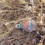 bingol’de-teror-orgutu-pkk’ya-yonelik-operasyonda-muhimmat-ele-gecirildi