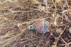 bingol’de-teror-orgutu-pkk’ya-yonelik-operasyonda-muhimmat-ele-gecirildi