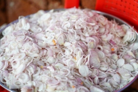 gribin-dusmani,-antioksidan-deposu,-tam-bir-mikropsavar…