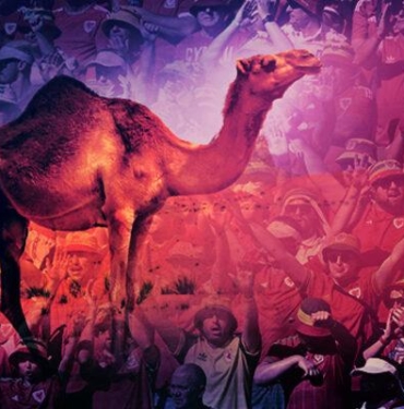 koronavirusten-daha-olumcul!-‘deve-gribi’-alarmi:-insandan-insana-bulasiyor,-dunya-kupasi’ndan-yayilabilir