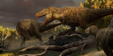 76-milyon-yil-once-yasayan-yeni-bir-dinozor-turu-kesfedildi:-t.-rex’in-atasi-bulundu-mu?