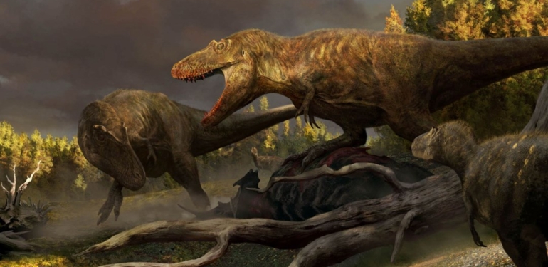 76 milyon yıl önce yaşayan yeni bir dinozor türü keşfedildi: T. rex’in atası bulundu mu?