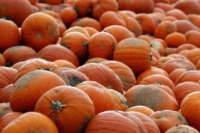 turuncu-antioksidan:-kanser-hucrelerine-karsi-savasiyor!-faydalarini-duyan-sasirdi