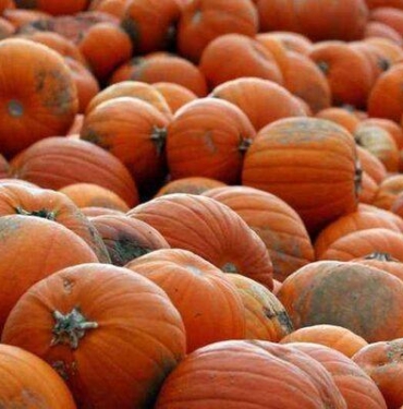 turuncu-antioksidan:-kanser-hucrelerine-karsi-savasiyor!-faydalarini-duyan-sasirdi