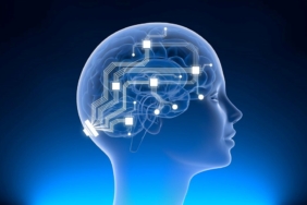 musk’in-beyin-cipi-sirketi-neuralink-sorusturma-altinda:-hayvanlari-oldurmekle-suclanmisti