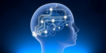 musk’in-beyin-cipi-sirketi-neuralink-sorusturma-altinda:-hayvanlari-oldurmekle-suclanmisti