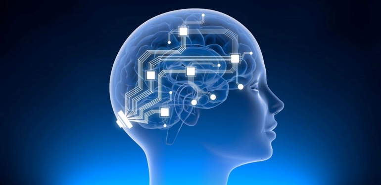Musk’ın beyin çipi şirketi Neuralink soruşturma altında: Hayvanları öldürmekle suçlanmıştı