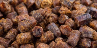 ari-ekmegi-nasil-tuketilir,-hangi-hastaliklara-iyi-gelir?-ari-ekmegi-gunde-ne-kadar-tuketilmeli,-kilo-aldirir-mi?