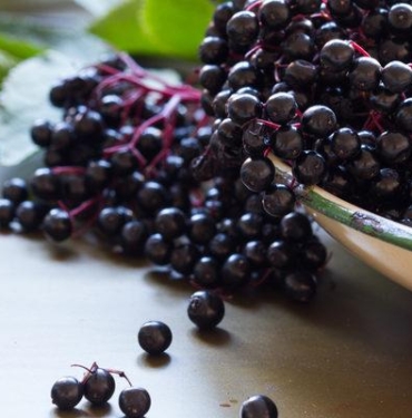 kara-murver-nasil-tuketilir,-kara-murver-surubu-nasil-icilir?-kara-murver-nasil-kullanilir?