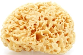 her-mutfakta-var-ama-resmen-bakteri-kayniyor!-uzmanlar-uyariyor:-insanlari-hasta-ediyor