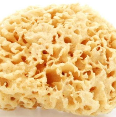 her-mutfakta-var-ama-resmen-bakteri-kayniyor!-uzmanlar-uyariyor:-insanlari-hasta-ediyor