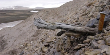 dunyanin-en-eski-dna-ornegi-bulundu:-2-milyon-yasinda