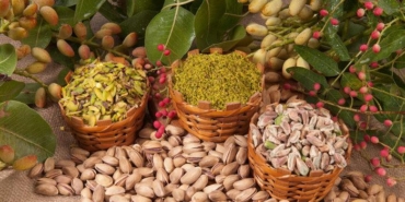 antep-fistigi-gunde-ne-kadar-tuketilmeli,-nasil-tuketilir?-antep-fistigi-cok-tuketilirse-ne-olur,-kolesterole-zararli-mi?