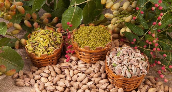 antep-fistigi-gunde-ne-kadar-tuketilmeli,-nasil-tuketilir?-antep-fistigi-cok-tuketilirse-ne-olur,-kolesterole-zararli-mi?