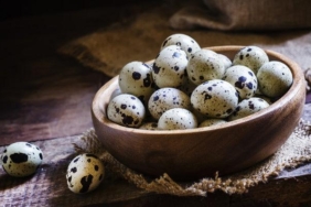 bildircin-yumurtasi-nasil-tuketilir,-cocuga-nasil-verilir?-bildircin-yumurtasi-cig-tuketilir-mi?