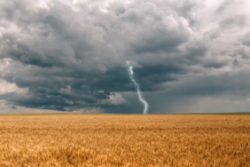 tahil-fiyatlarindaki-artis-2023’te-de-devam-edecek-mi?