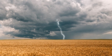 tahil-fiyatlarindaki-artis-2023’te-de-devam-edecek-mi?