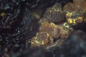 kan-degerlerini-artiya-cevirir,-kansizligin-onune-gecer