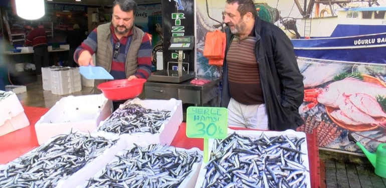 Karadeniz’de palamudun yerini hamsi aldı