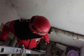 apartman-boslugunda-mahsur-kalan-kediyi-akut-ekibi-kurtardi