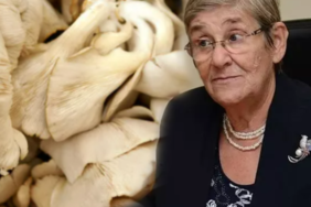 prof-dr.-canan-karatay-cozumu-acikladi:-tum-bildiklerinizi-unutun!-agrilar-tarih-olacak