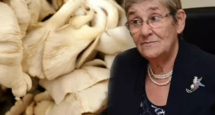 Prof. Dr. Canan Karatay çözümü açıkladı: Tüm bildiklerinizi unutun! Ağrılar tarih olacak
