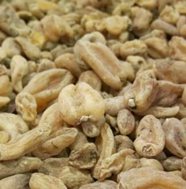 beyaz-altin-olarak-biliniyor!-kis-aylarinin-vazgecilmez-icecegi-cinsel-gucu-artiriyor,-oksurugu-geciriyor