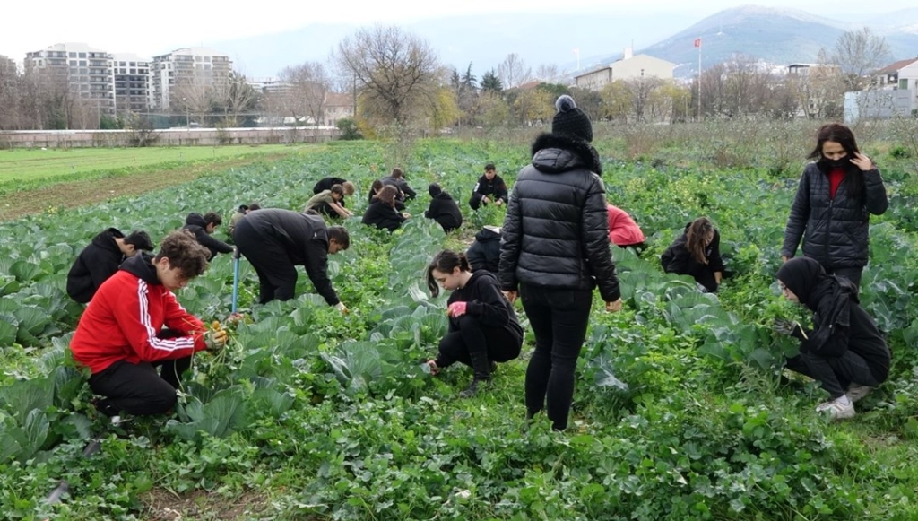 fabrika-gibi-okul:-ogrenciler-hem-ogreniyor-hem-de-para-kazaniyor