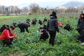 fabrika-gibi-okul:-ogrenciler-hem-ogreniyor-hem-de-para-kazaniyor
