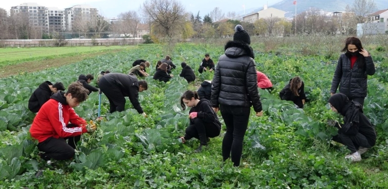 Fabrika gibi okul: Öğrenciler hem öğreniyor hem de para kazanıyor