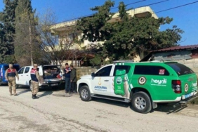 hatay’da-sahipsiz-kopegi-tufekle-yaralayan-supheli-yakalandi