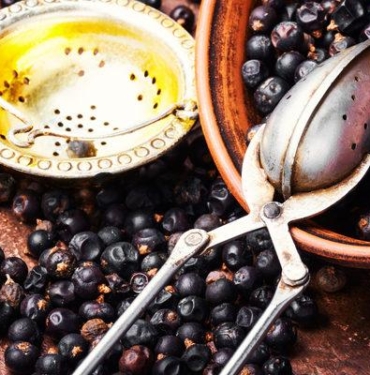 ardic-cayi-faydalari-nelerdir,-neye-iyi-gelir?-ardic-cayi-nasil-yapilir-ve-demlenir?