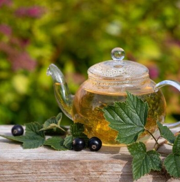 aci-cehre-cayi-faydalari-nelerdir,-neye-iyi-gelir?-aci-cehre-cayi-nasil-yapilir,-nasil-demlenir?