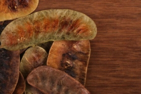 aclik-otu-cayi-faydalari-nelerdir,-neye-iyi-gelir?-aclik-otu-cayi-nasil-yapilir-ve-demlenir?