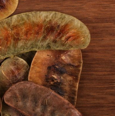 aclik-otu-cayi-faydalari-nelerdir,-neye-iyi-gelir?-aclik-otu-cayi-nasil-yapilir-ve-demlenir?