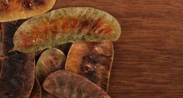 Açlık otu çayı faydaları nelerdir, neye iyi gelir? Açlık otu çayı nasıl yapılır ve demlenir?
