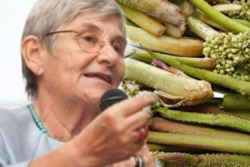 prof-dr.-canan-karatay’in-tavsiyesi-bilim-tarafindan-dogrulandi!-dunyanin-en-saglikli-bitkisi…