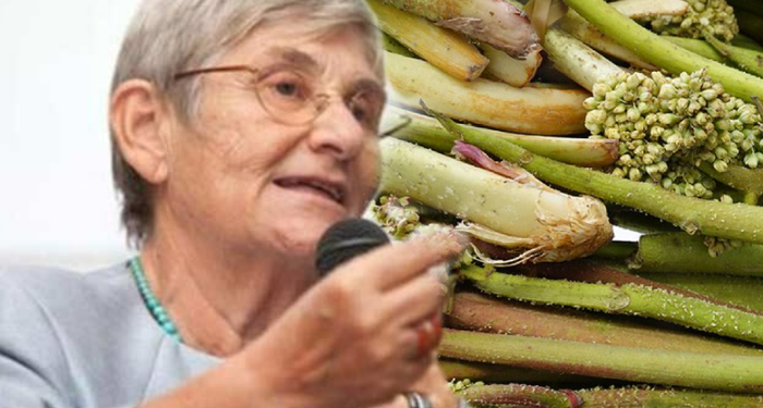 prof-dr.-canan-karatay’in-tavsiyesi-bilim-tarafindan-dogrulandi!-dunyanin-en-saglikli-bitkisi…