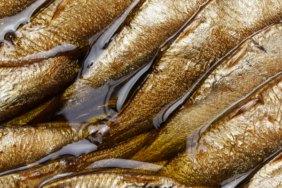 bagisiklik-sistemini-bozarak-vucudu-bastan-asagi-mahvediyor!-erken-olum-riskini-artiriyor