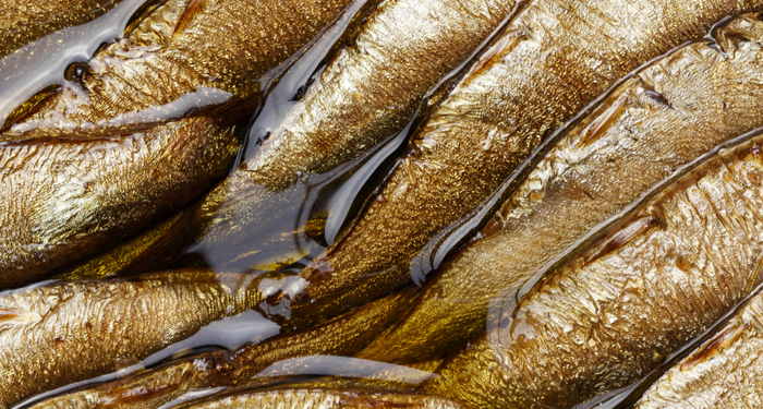 bagisiklik-sistemini-bozarak-vucudu-bastan-asagi-mahvediyor!-erken-olum-riskini-artiriyor