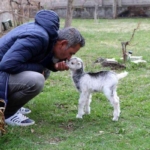 annesini-ayi-yiyen-oglak-tesadufen-hayata-tutundu