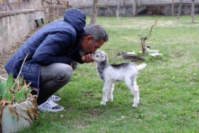 annesini-ayi-yiyen-oglak-tesadufen-hayata-tutundu