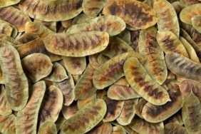 faydalarini-duyan-aktara-kosuyor!-bu-ot-zahmetsizce-zayiflatiyor!-tansiyon-dengeleyici-ozellige-sahip