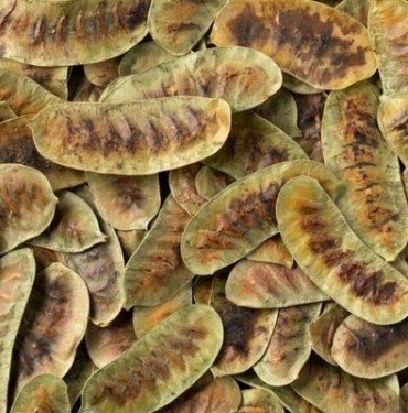 faydalarini-duyan-aktara-kosuyor!-bu-ot-zahmetsizce-zayiflatiyor!-tansiyon-dengeleyici-ozellige-sahip