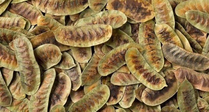Faydalarını duyan aktara koşuyor! Bu ot zahmetsizce zayıflatıyor! Tansiyon dengeleyici özelliğe sahip