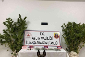 aydin’da-jandarmanin-kacakcilik-operasyonlarinin-bilancosu-aciklandi